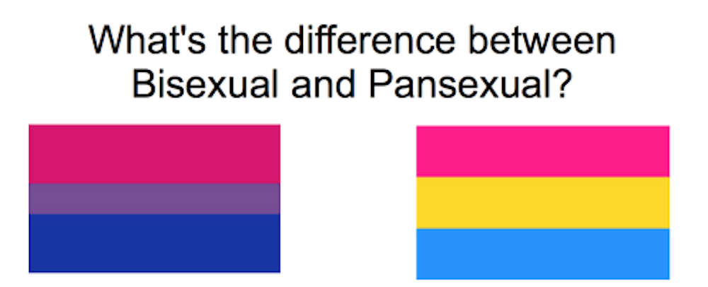 difference between bisexual pansexual