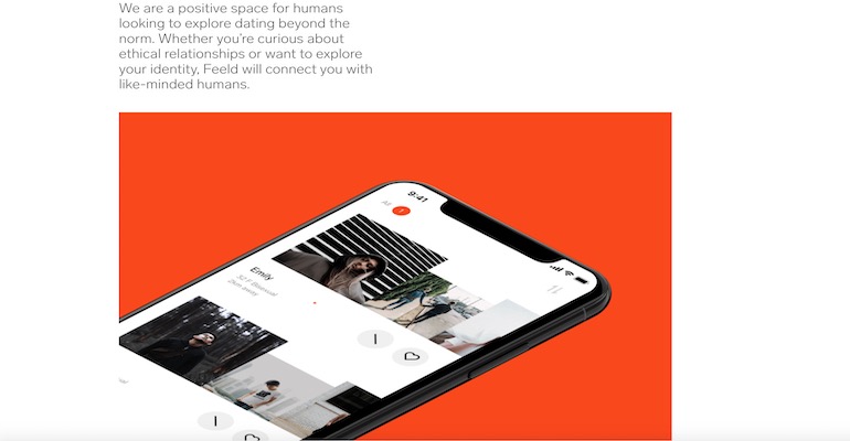 overview of feeld