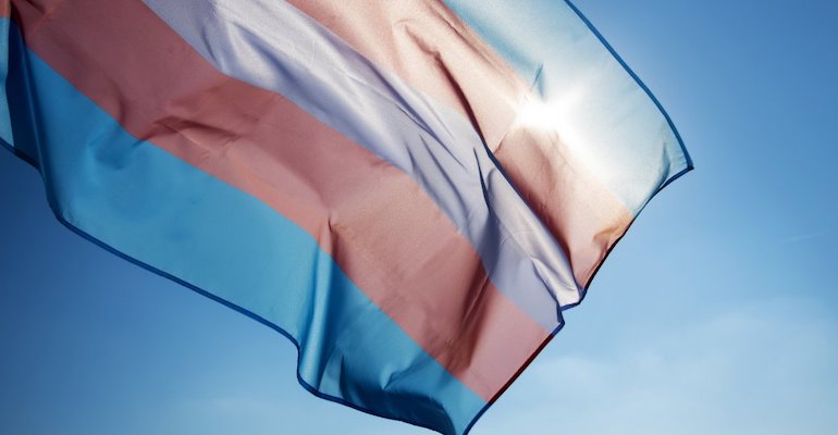 flag for trans community