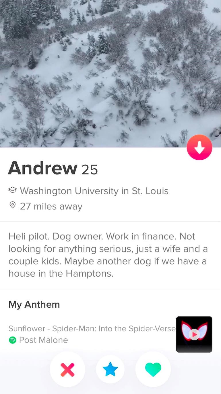 tinder bio example