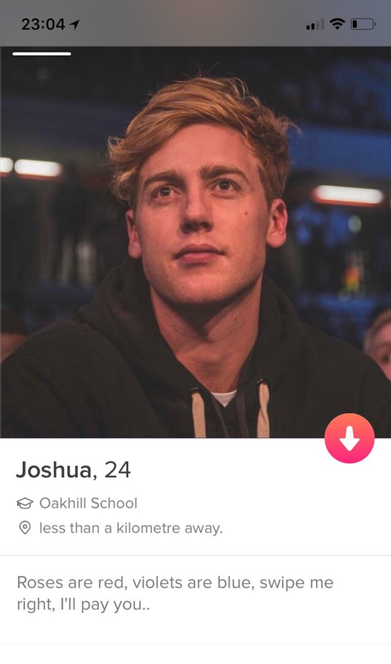 tinder bio example
